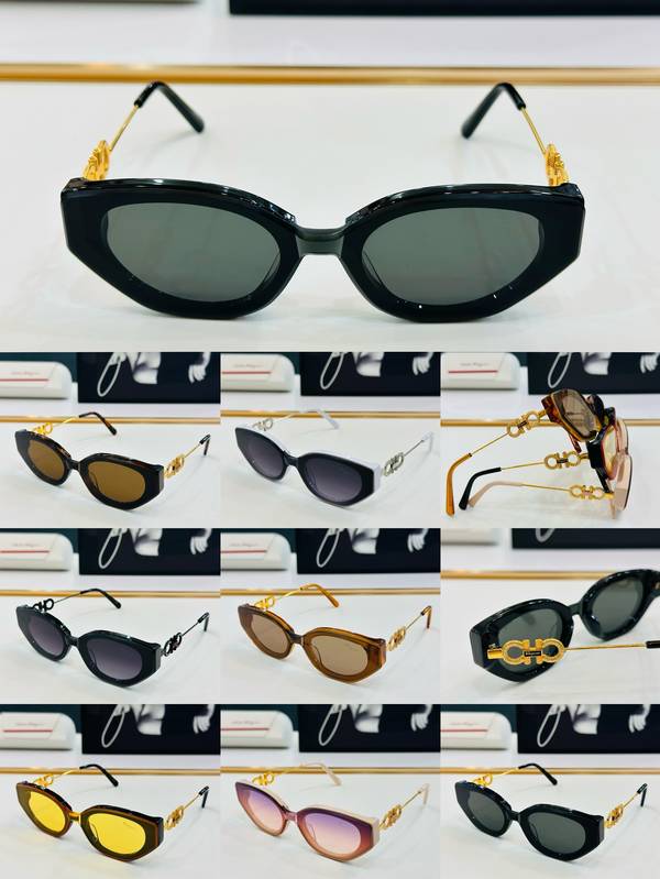 Salvatore Ferragamo Sunglasses Top Quality SFS00498
